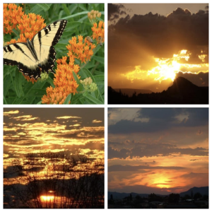 Worthy Women Transformation Valentine's Day 2024 - Transformed Love